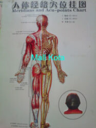 Sinshe Wong Tn, Khusus Pengobatan Saraf Terjepit